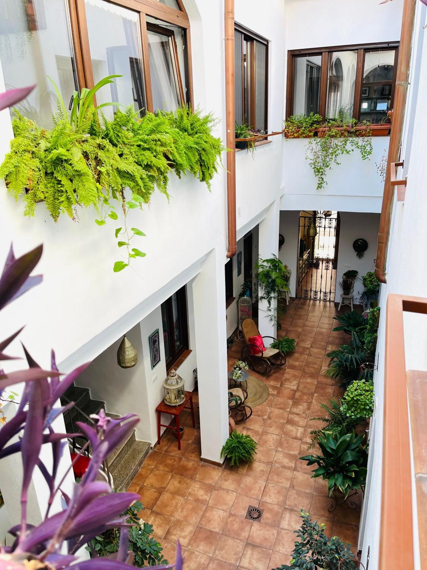 Casa Turistica San Agustin Apartment กอร์โดบา ภายนอก รูปภาพ